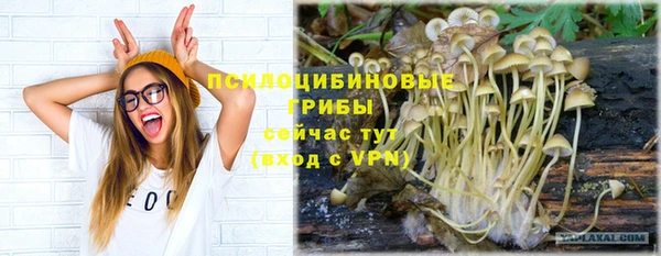 spice Балахна
