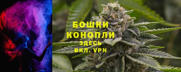 спайс Баксан