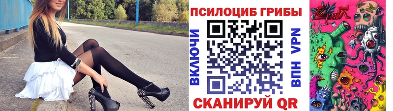 Галлюциногенные грибы GOLDEN TEACHER  blacksprut ССЫЛКА  Краснознаменск  где продают  